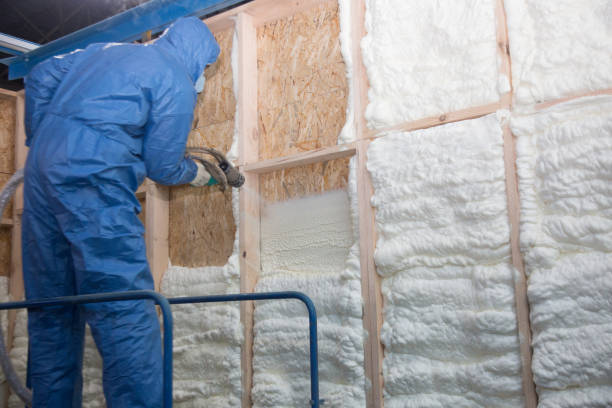 Best Basement Insulation  in USA